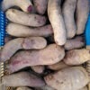 betteraves rouges 500g