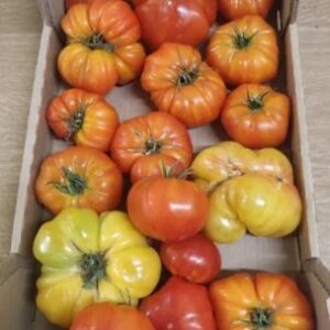 colis tomates "abimées" pour sauce 5kg
